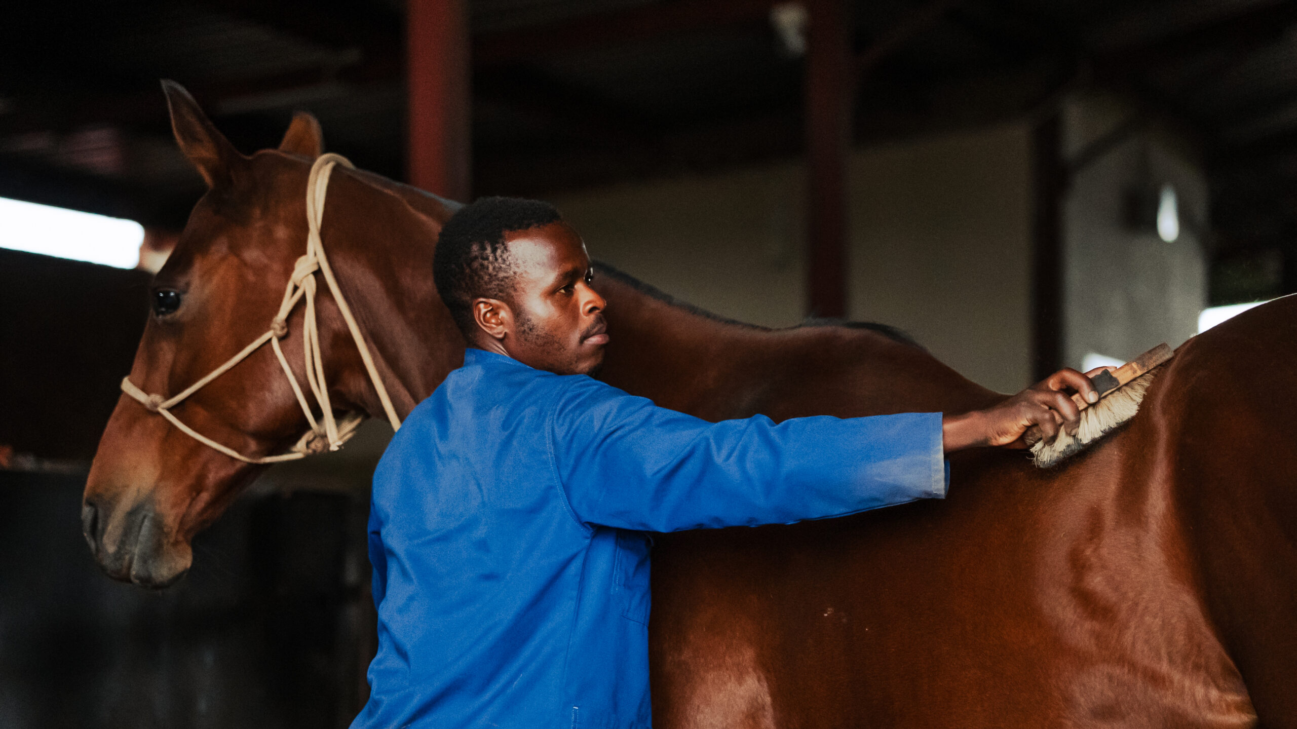 Reckless Groom