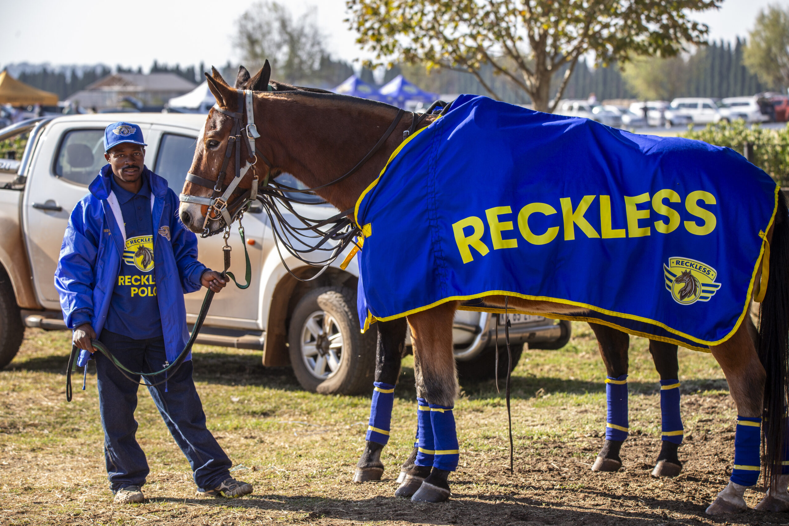 Reckless Horse blanket