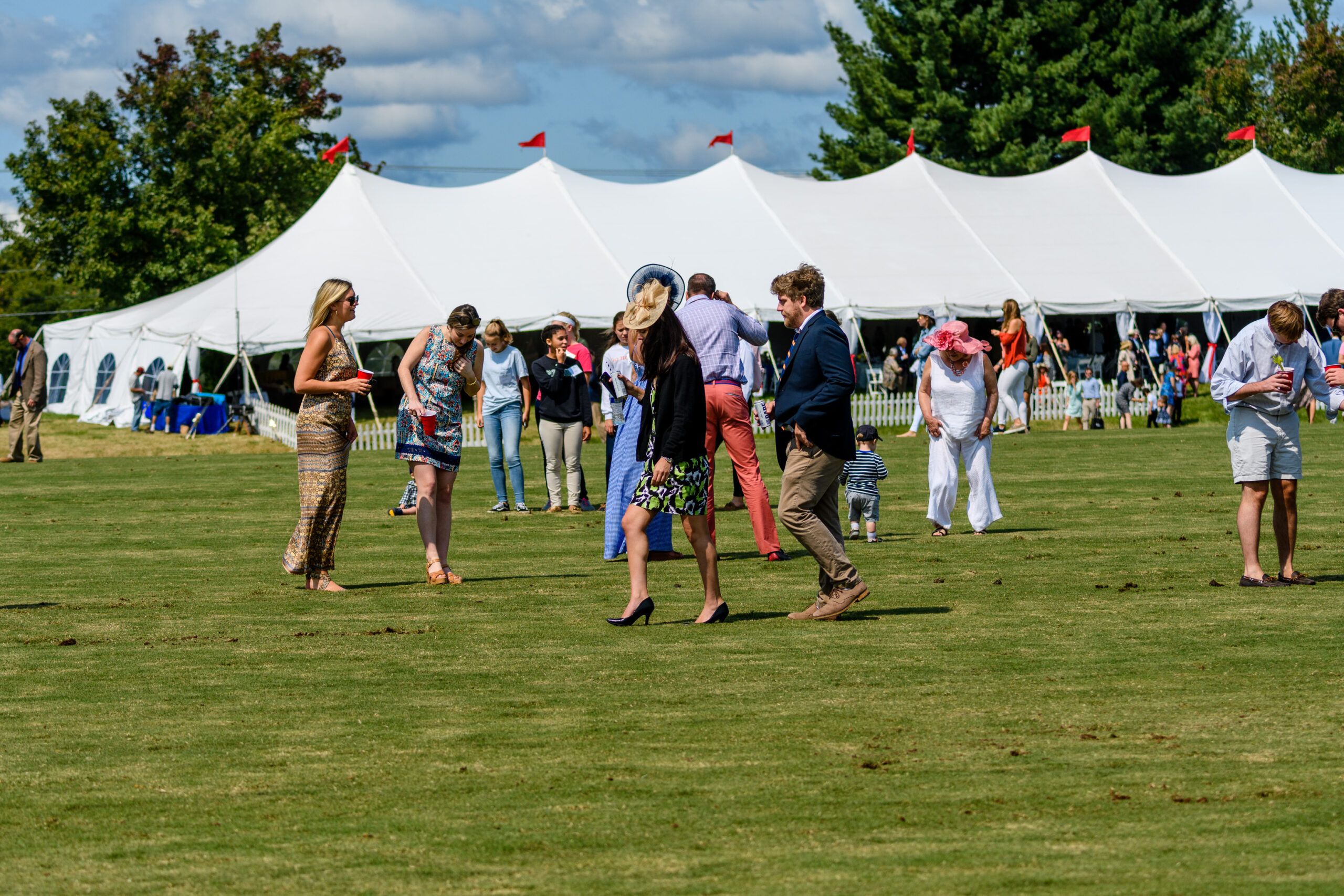 Polo Divot Stomp