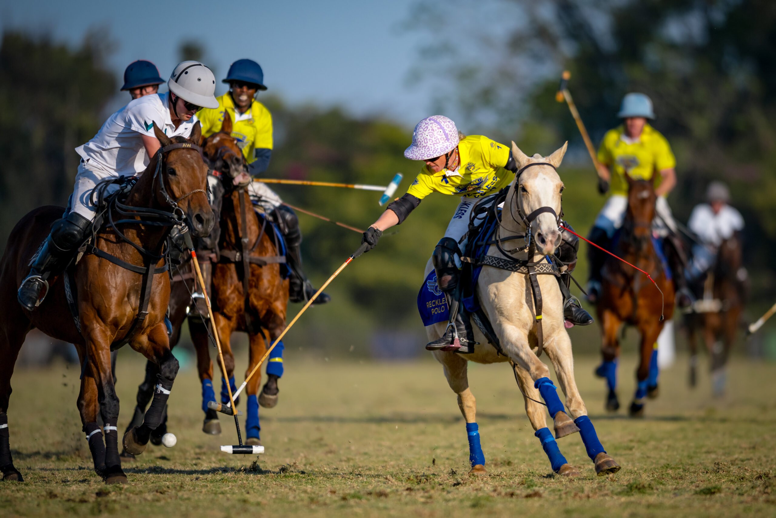 Reckless Polo Johnnie Walker Polo Hook Ryan French