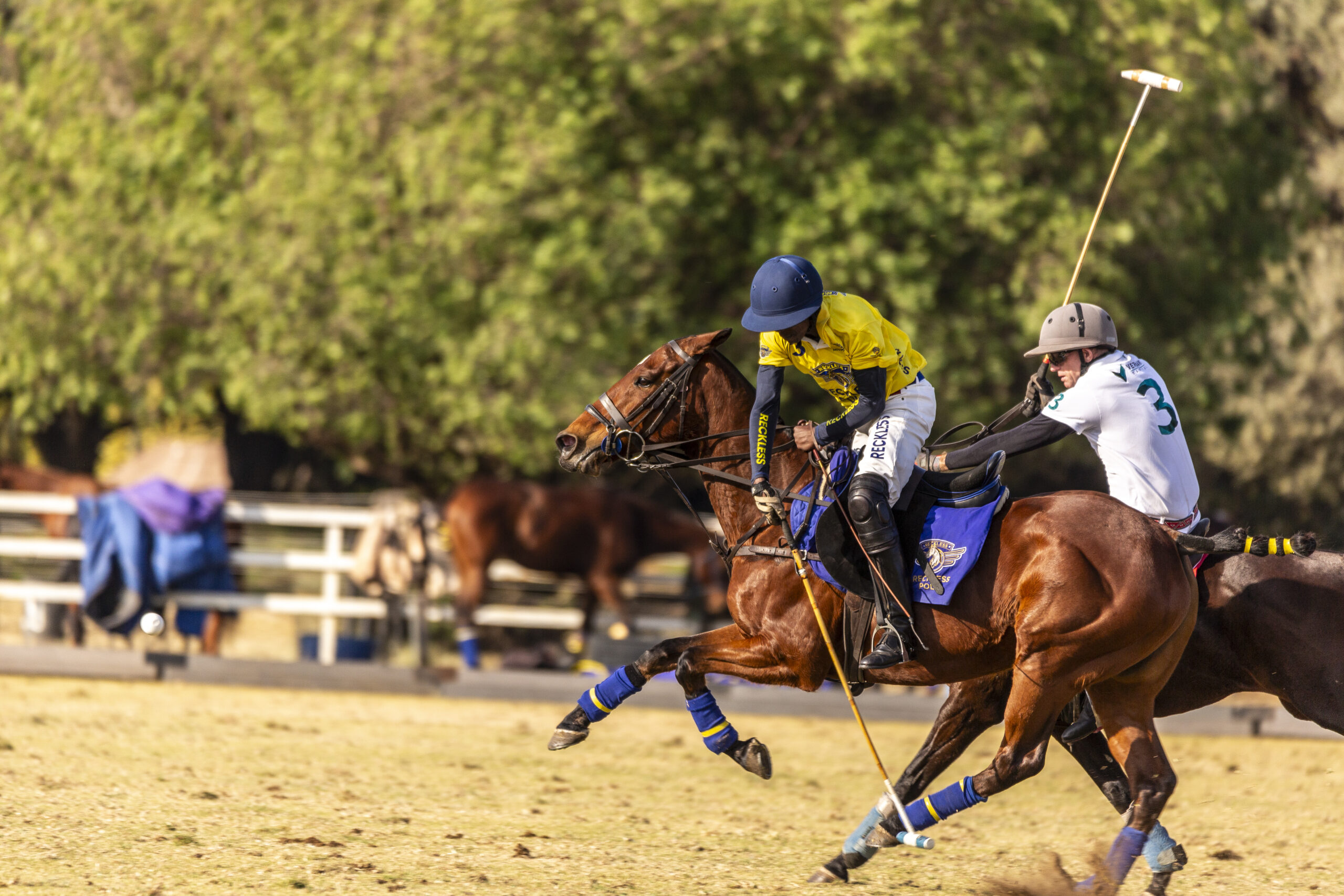 Martin Waiganjo Johnnie Walker Polo Near-Side Off Side