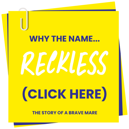 why the name SERGEANT RECKLESS the story of a brave mare