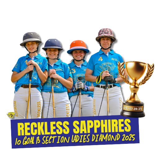 Reckless Sapphires won 10 Goal B section in diamond ladies 2025