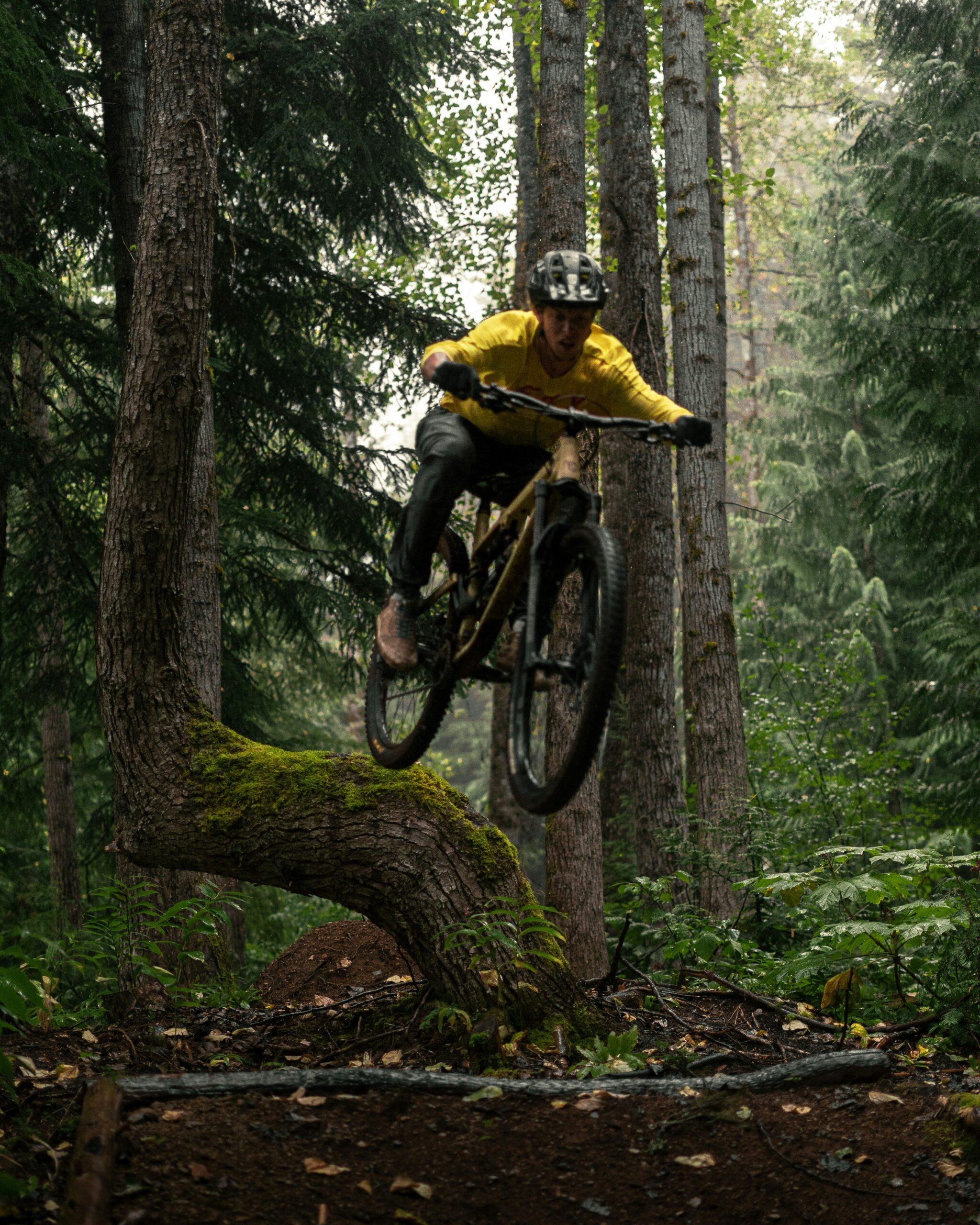 Reckless<br />
Mountain biking<br />
