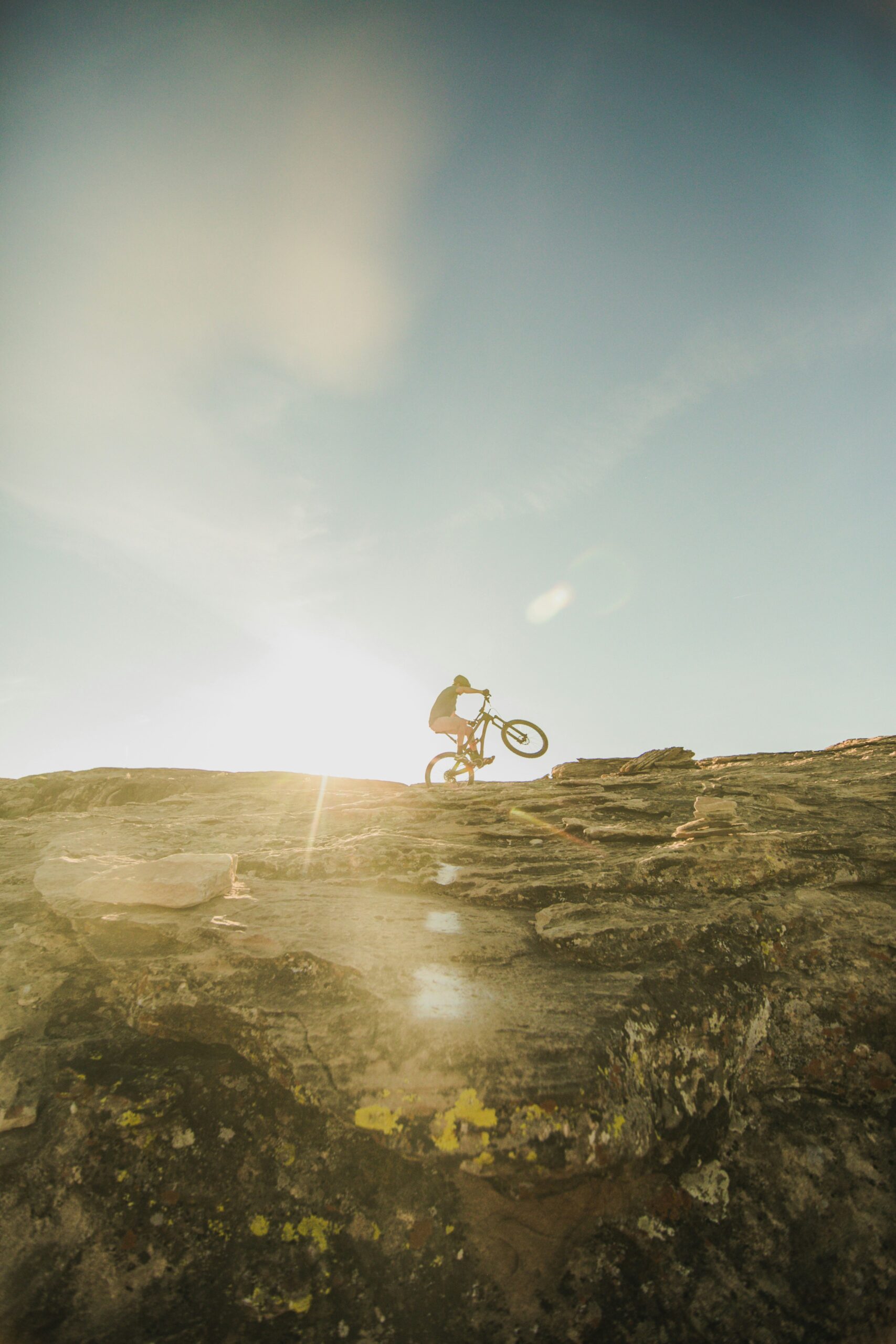Reckless Mountain Biking<br />
