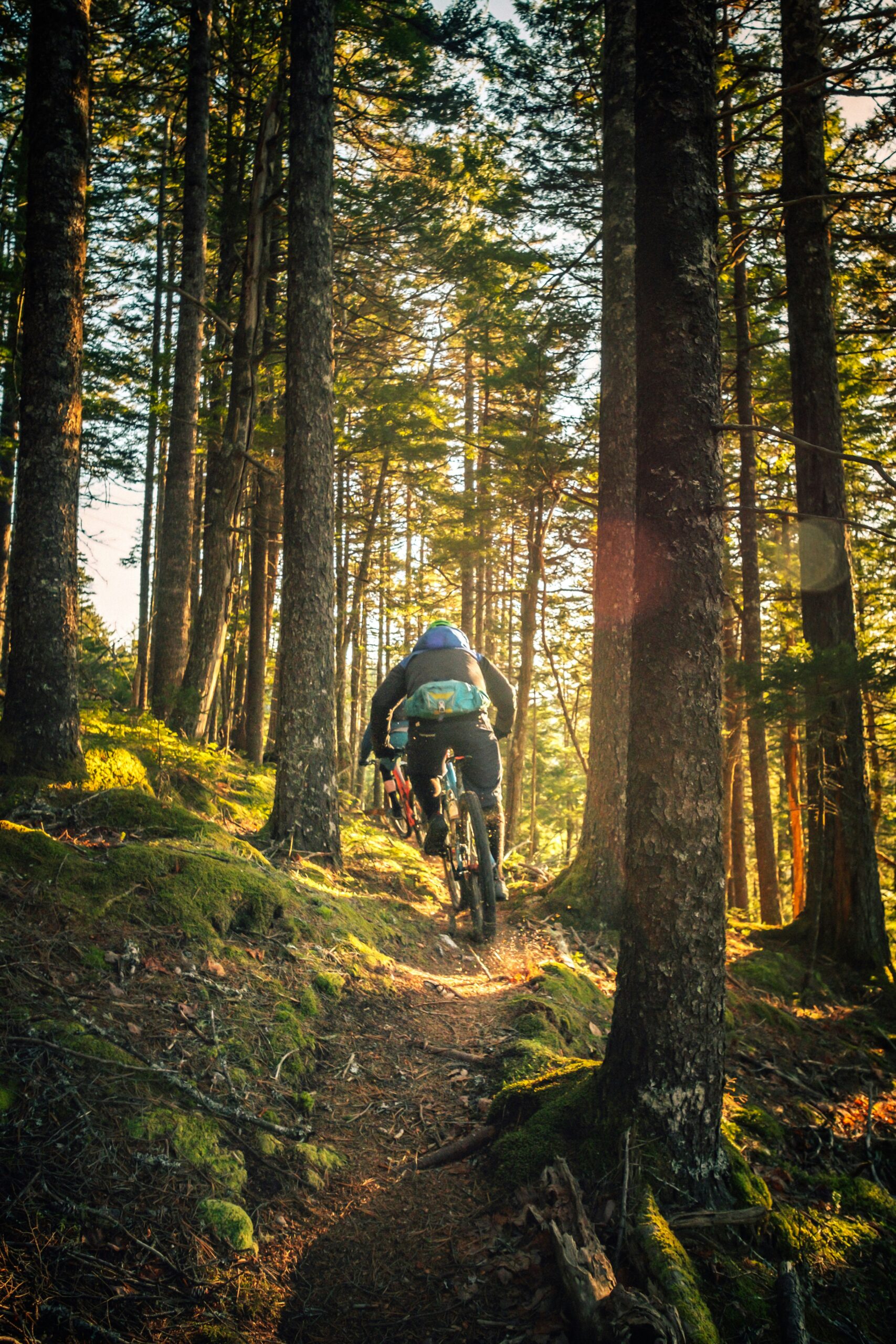 Reckless Mountain Biking<br />
